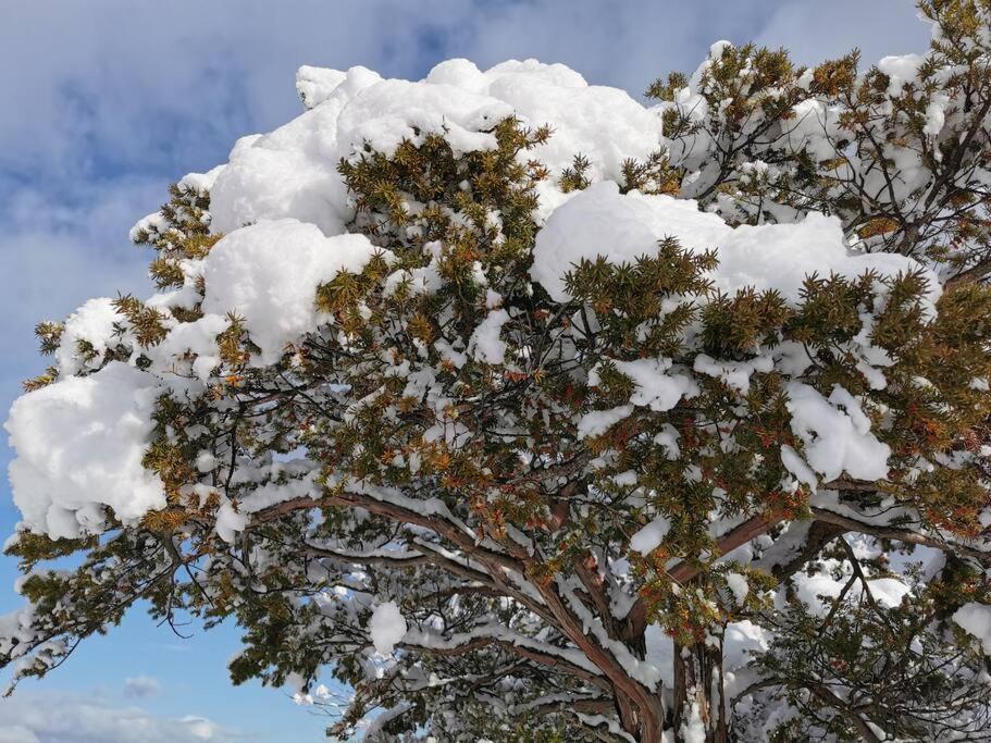 House Of Joy Furano 15 Mins To Ski Resort ภายนอก รูปภาพ